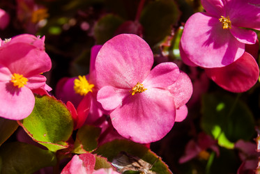 Similar image 7693964