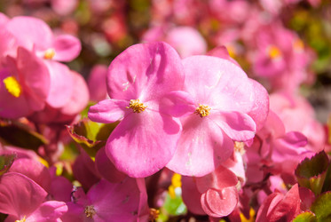 Similar image 7693966