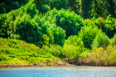 Similar image 7693976