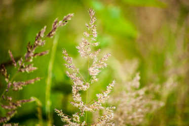 Similar image 7693977