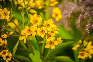 Similar image 7693982