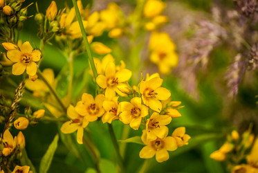 Similar image 7693986