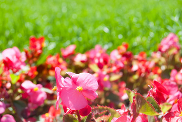 Similar image 7693991