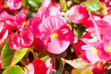 Similar image 7693992