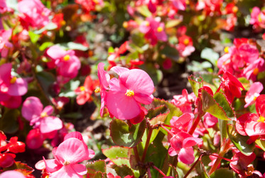 Similar image 7693993