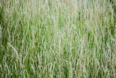 Similar image 7693998