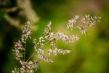 Similar image 7694000