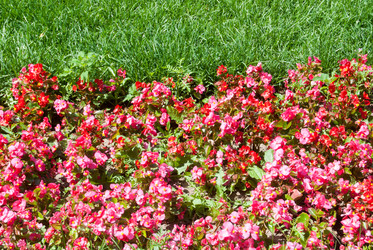 Similar image 7694002