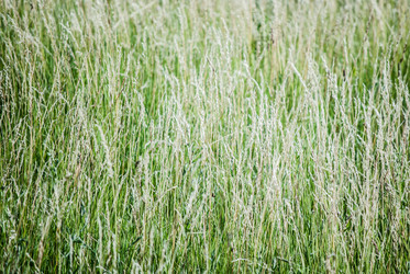 Similar image 7694007