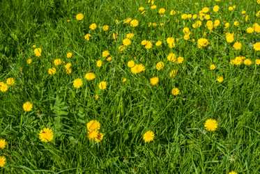 Similar image 7694009