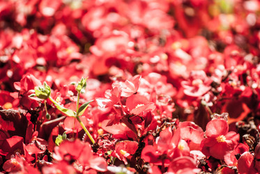 Similar image 7694010