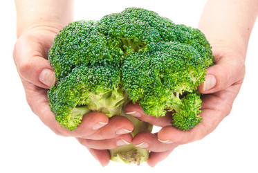 Similar image 7694013