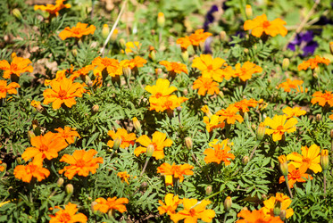 Similar image 7694014