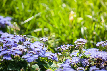 Similar image 7694016