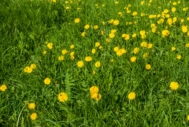 Similar image 7694020