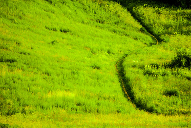 Similar image 7694028