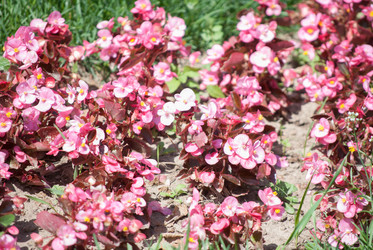 Similar image 7694024