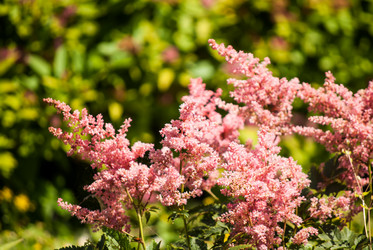 Similar image 7694025