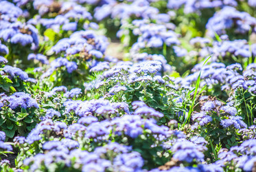 Similar image 7694026