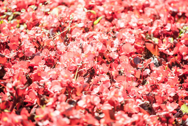 Similar image 7694029