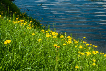 Similar image 7694031