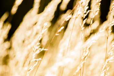 Similar image 7694030