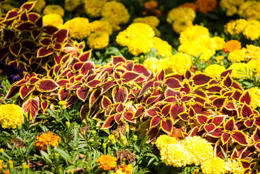 Similar image 7694036