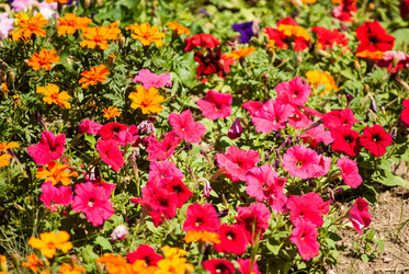 Similar image 7694038