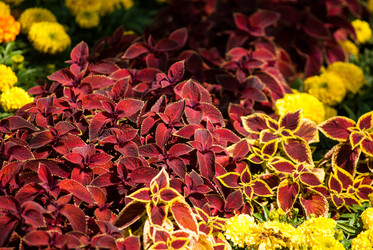 Similar image 7694039