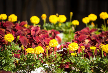 Similar image 7694040