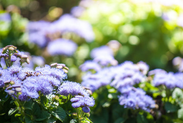 Similar image 7694041