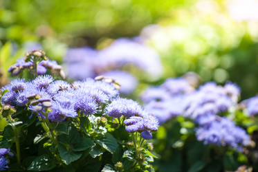 Similar image 7694044