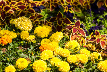 Similar image 7694047