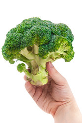 Similar image 7694048