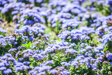 Similar image 7694049