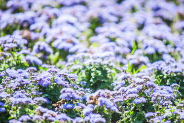 Similar image 7694050