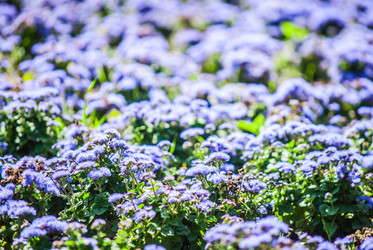 Similar image 7694052