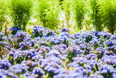 Similar image 7694053