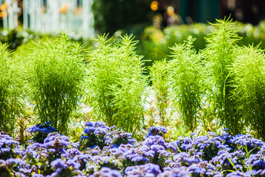 Similar image 7694056