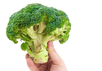 Similar image 7694059