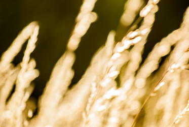 Similar image 7694060