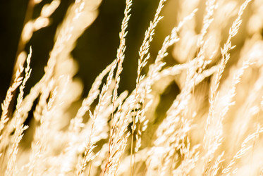 Similar image 7694063