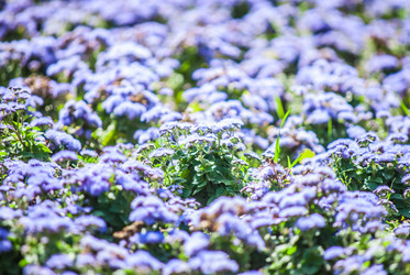 Similar image 7694065