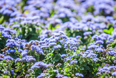 Similar image 7694067