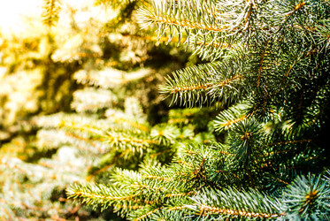 Similar image 7694071