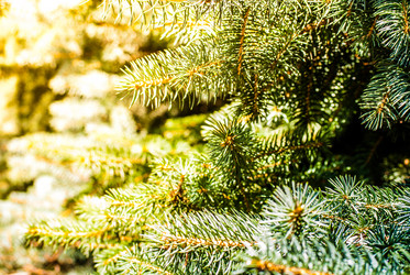 Similar image 7694073