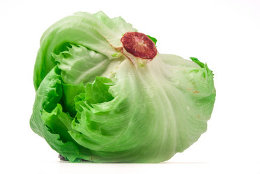 Similar image 7694075