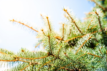 Similar image 7694076