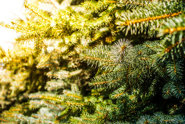 Similar image 7694087