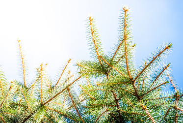 Similar image 7694088